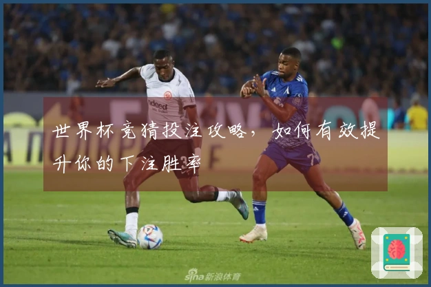 世界杯竞猜投注攻略，如何有效提升你的下注胜率