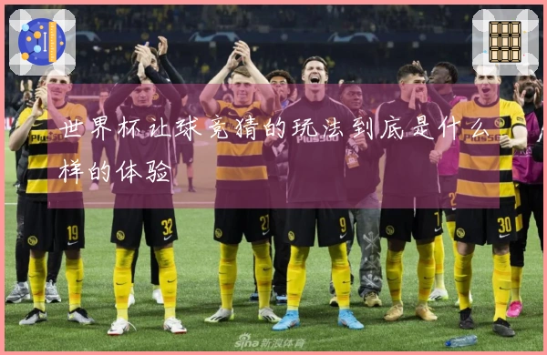 世界杯让球竞猜的玩法到底是什么样的体验
