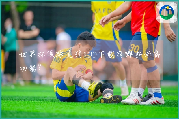 世界杯滚球竞猜app下载有哪些必备功能？