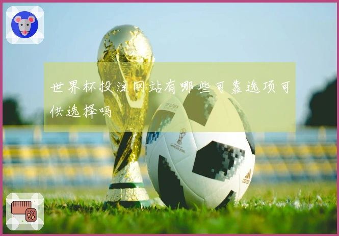 世界杯投注网站有哪些可靠选项可供选择吗