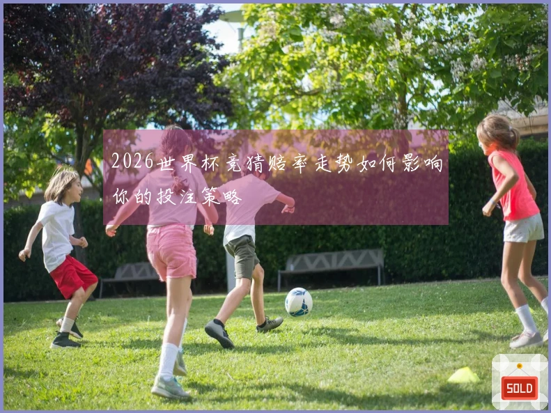 2026世界杯竞猜赔率走势如何影响你的投注策略