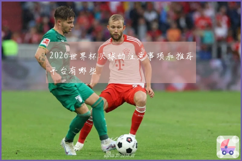 2026世界杯买球的注意事项和推荐平台有哪些
